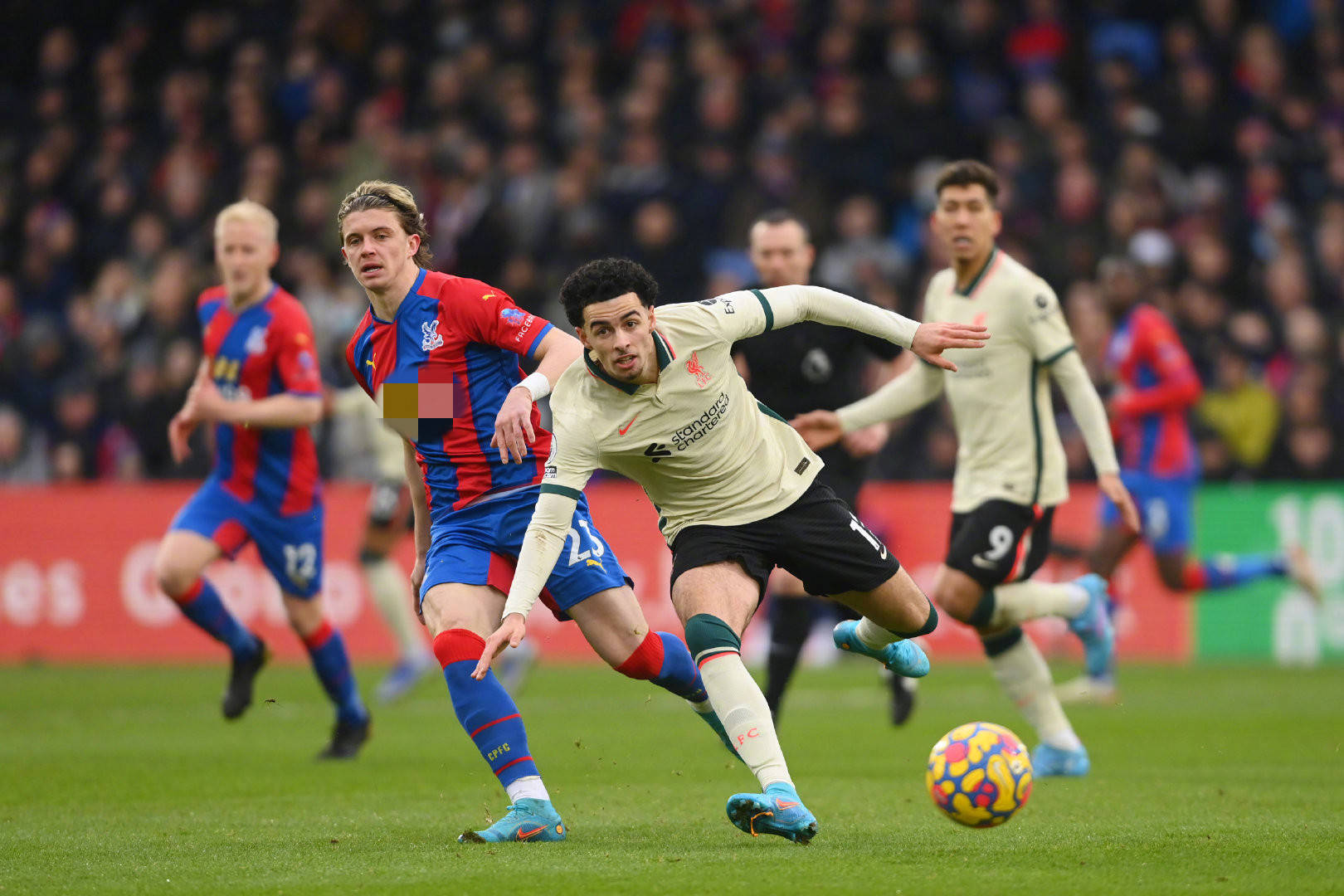 交流方面的 交流方面的